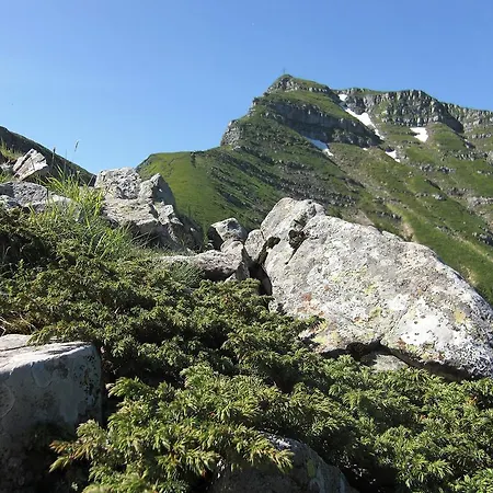 Piccolo Hotel Lizzano In Belvedere