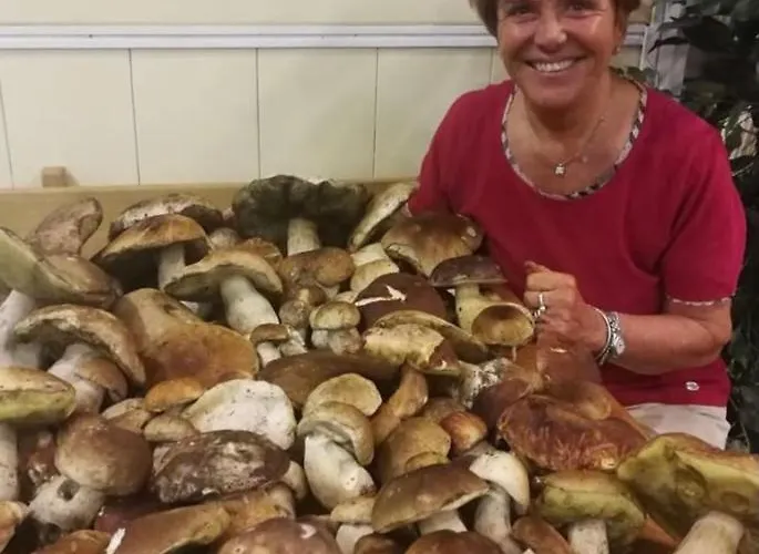 Piccolo Szálloda 3*