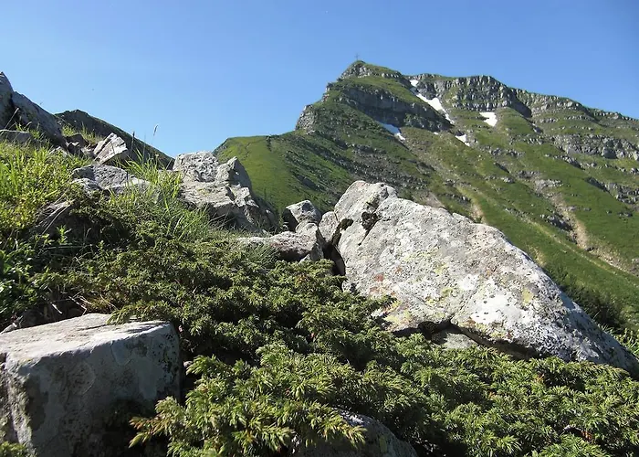 Piccolo فندق ليتسانو في بلفيردي