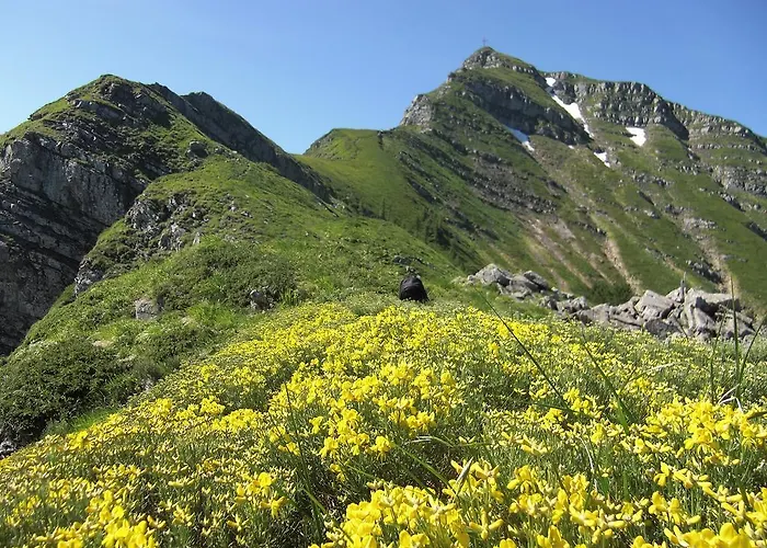 Piccolo Lizzano in Belvedere